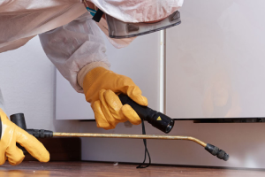 Messie Schädlingsbekämpfung Dachau